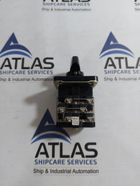 YUNGSUNG C-60 CAM SWITCH 10A 250VAC