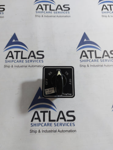 YUNGSUNG C-60 CAM SWITCH AC220V 10A