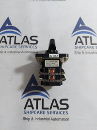 YUNGSUNG C-60 CAM SWITCH AC220V 10A