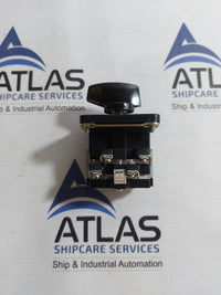 YUNGSUNG C-60 CAM SWITCH AC220V 10A