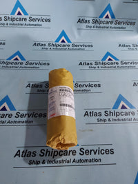 FISHER 1U216135072 PLUG VALVE