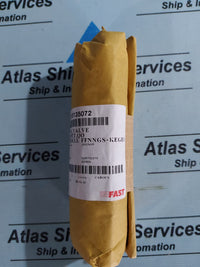 FISHER 1U216135072 PLUG VALVE
