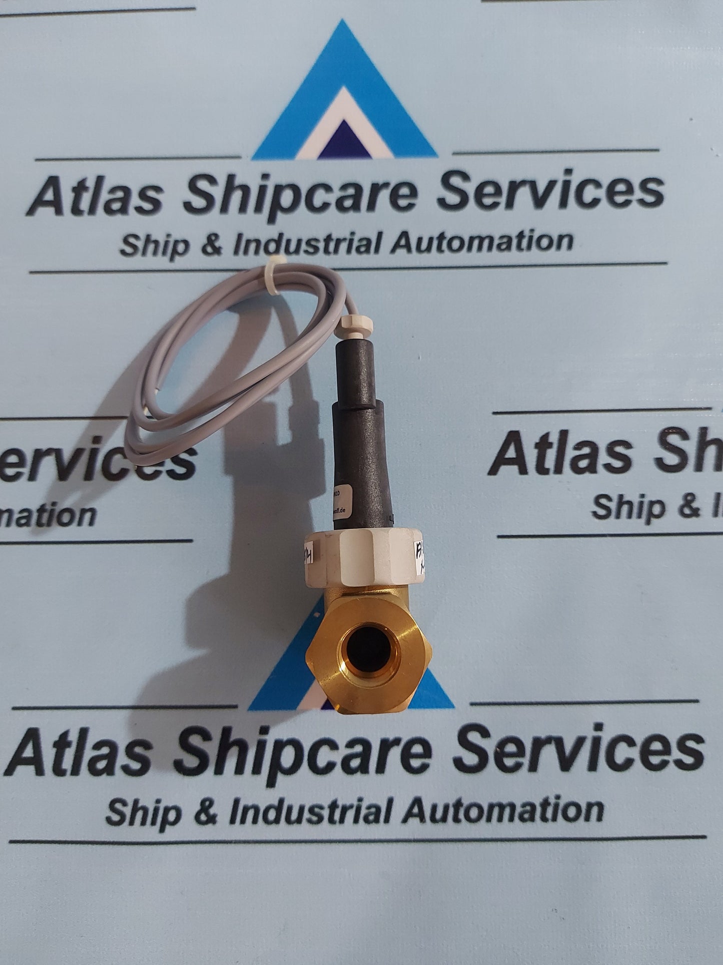 HENKE SASS WOLF DW-LM DN10 FLOW SWITCH