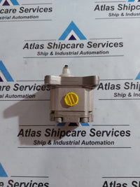 HPI P1BAN1002FL10B01N GEAR PUMP
