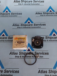 INGERSOLL RAND 92509892 DIAPHRAGM