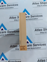 LIAAEN HELITRON DC0008 A ANALOG INPUT MODULE