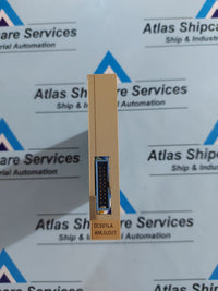 LIAAEN HELITRON DC0014A ANALOG OUTPUT MODULE